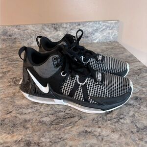 LeBron James Witness 7